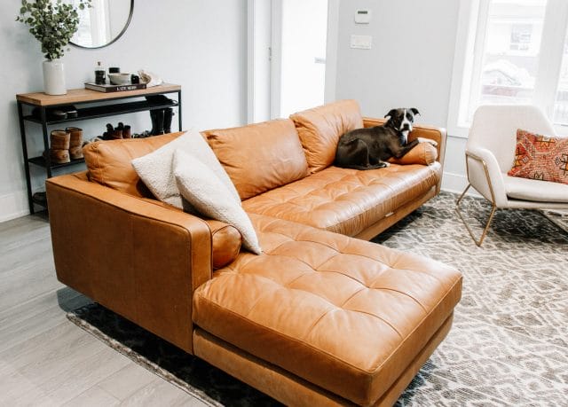 is leather couches good for dogs